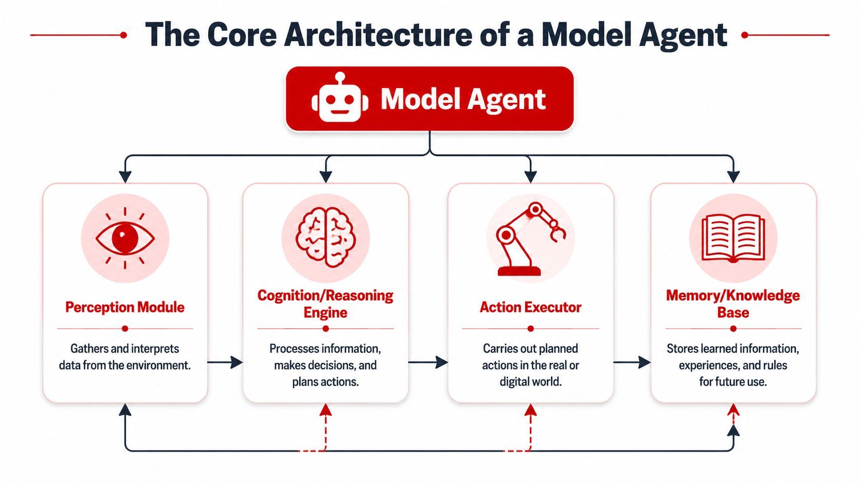 A diagram illustrating the core architecture of a model agent with four main interconnected functional components.